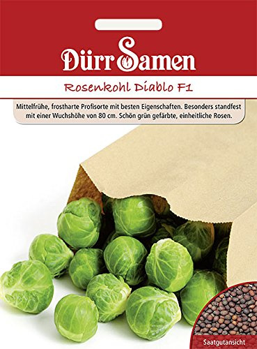 Dürr-Samen - Rosenkohl Diablo F1 Saatgut