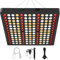 DragonLight LED Plant Lamp CW2000, Black, 50W, Full Spectrum, 169 LED, 3m Cable, Grow Tent & Indoor Use