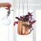 Paper High Fioriera da appendere in ferro, placcata in rame, vasi decorativi per interni, vaso per piante da appendere, decorazione per balcone, cinghia regolabile, decorazione da appendere (piccola)