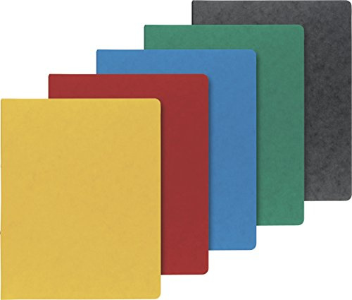 Brunnen 1065508 Ringbuch FACT!plus (A4, aus Karton, 30mm Füllhöhe, 2 Ringe) 5 verschiedene Farben)