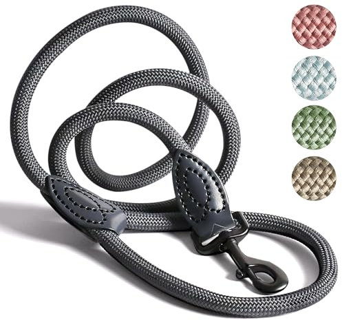 ne&no Tauleine 1.7m (leicht dehnbar) für mittelgroße bis ganz große Hunde I Trainingsleine I Hundeleine robust I Führleine rund, geflochten I Seil Leine Hund I Cityleine I Dog Leash ANTHRAZIT, 170 cm