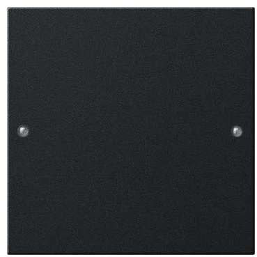 2181005 Wippenset 1f System 55 GIRA 2181005