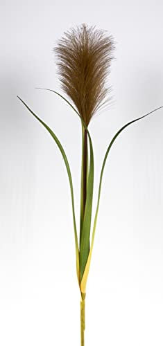 Seidenblumen Roß Pampasgras 75cm braun GA Kunstgras Dekogras künstlicher Pampasgraszweig Wedel Cortaderia Selloana