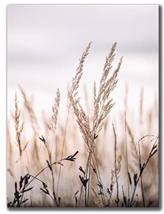 Leinwandbild Grasses I 60 x 80 cm | Bild auf Leinwand im Hochformat in sanften monochromen Farben | Gras Feld Wiese Natur Blumen Trockenblumen | Wohnzimmer Schlafzimmer Flur | Deko Home Einrichtung
