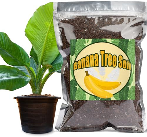 GOTVUGE Bio-Bananenbaum-Pflanzmischung, geeignet für alle Innen- und Außenvarianten (1L)