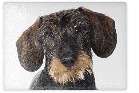 Schneidebrett/Glasschneidebrett 20x28x0,4cm - Motiv: Dackel Rauhhaardackel | 06