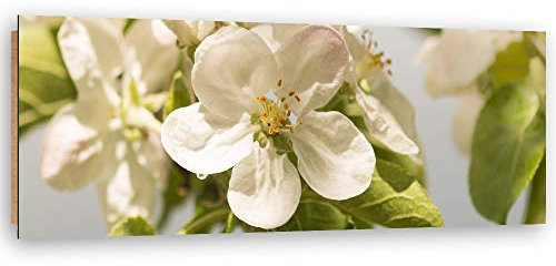 Wandbild XXL Kirschblüten Deko Kunst Bilder Natur Weiß 150x60 cm
