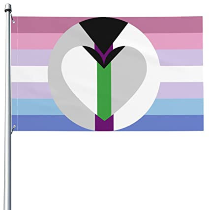 Bigender Demisexual Demiromantic Pride Flag Flagge 9,1 x 1,5 m – UV-beständig – Garten-Yard-Flagge im Freien mit Ösen