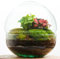 Terrario Plantas Cristal - Cápsula con Hiedra y Fittonia | Jardin Eterno en Cristal o Ecosistema Cerrado | Ideal para Decoración Hogar | Terrarios Autónomos | Medidas, 20 cm x 18 cm