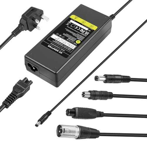 LabTEC 42V 2A Hoverboard Mobility Scooter Charger Electric Bike Battery Charger for 36V 2A 10S Li-on Battery E-bike Power Supply 4 in 1