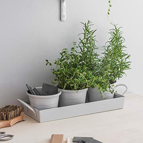 CKB Ltd Set mit 3 Töpfen auf Tablett Metall Vintage Fensterbank Pflanzkasten für die Küche Züchten Sie Ihre eigenen Kräuter zum Kochen - Traditionelle Farbe (Chalk)