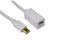 rhinocables Mini Displayport Display Port Extension Cable Mini DP Extending Lead for Computer, Monitor, Projector, Laptop (2m)