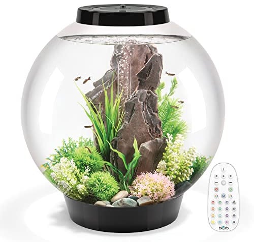 biOrb Klassisches Aquarium aus Acryl mit mehrfarbigen, ferngesteuerten LED-Lichtern, modernes Aquarium für Tischdekoration, Schwarz, 60-Liter-Fassungsvermögen