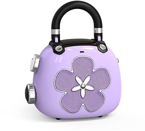DOSS Mini Enceinte légère avec Son Puissant
