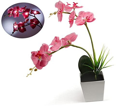 Zerodeko Künstliche Orchideen Zur Dekoration Mit Led-licht Batteriebetrieben Für Heimdekoration Und Romantische Atmosphäre Künstliche Blumenlampe Für Schlafzimmer Und Wohnzimmer