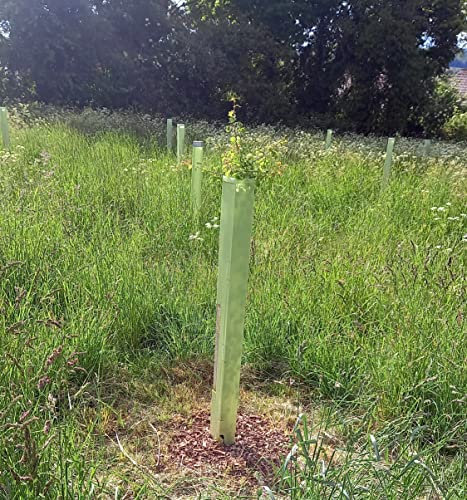 F&G Supplies 10 x 1.2m tall tree guards shelters defenders, plus 10 1.2m stakes