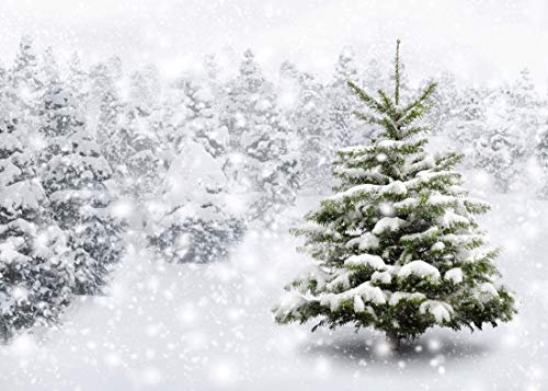 AIIKES Fotohintergrund 2,1 m x 1,5 m Weihnachtsbaum Fotohintergrund personalisierte Fotohintergrund für Fotostudio 11-202
