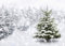 AIIKES Fotohintergrund 2,1 m x 1,5 m Weihnachtsbaum Fotohintergrund personalisierte Fotohintergrund für Fotostudio 11-202