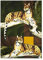 Excelsa Leopard Küchentuch, 100% Baumwolle, 70 x 50 cm, mit Öse