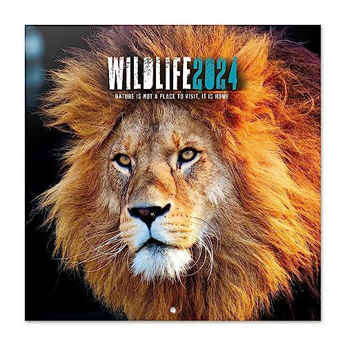 Grupo Erik Kalender 2024 Wandkalender 2024 - Tiere Kalender 2024 Familienplaner 30 x 30 cm 12 Monate + Letzten 4 Monate 2023 auf einer Seite