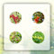 85 pcs stachelbeeren pflanze samen topfpflanzen draußen winterhart stachelbeere,Seltene Pflanzen serie, bäume garten winterhart säulenobstbäume winterfeste pflanzen für balkon bonsai
