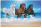 1000 Teile Puzzle Für Jungen Und Mädchen, Standard-Puzzles, Pferd -Puzzles, Familienspiele, （75×50cm）