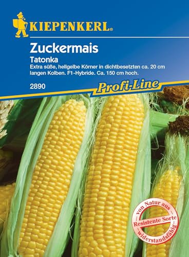 Kiepenkerl Profi-Line Zuckermaissamen Tatonka, F1 2890 - Extra süß - ca. 20 cm lange Kolben - Inhalt für 20 Pflanzen - Saat, Saatgut, Mais Samen