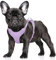 BARKBAY Hundegeschirr, kein Ziehen, großes reflektierendes Hundegeschirr, mit Frontclip und einfachem Griff, für Spaziergänge, Training, Laufen, mit ID-Tag-Tasche (violett, S)