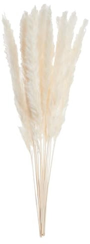 BUTLERS Flower Market Trockenblumen Mini-Pampasgras Länge 50cm