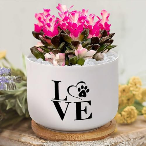Yelolyio Pots de fleurs personnalisés en céramique avec motif patte de chien et chat avec citation de motivation pour plantes d'intérieur