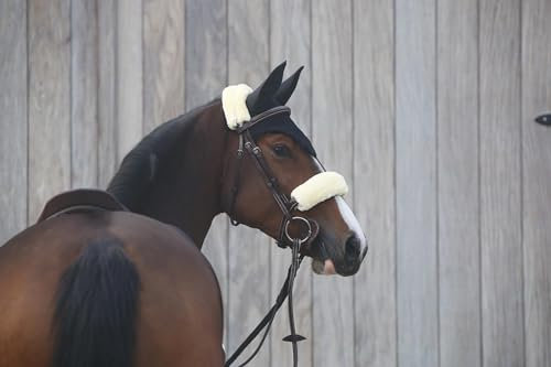 Kentucky - Fliegenhaube Schwarz