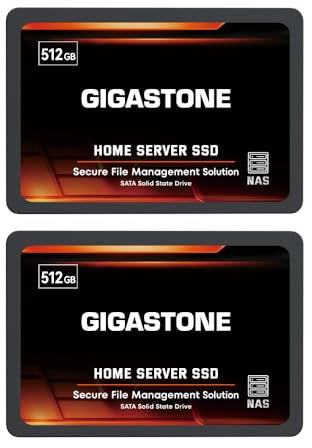 GIGASTONE Serveur SSD 512Go (Lot de 2) NAS SSD Cache 24h/24, 7j/7 TLC Haute Endurance Business Secure Personal Cloud Créatif Professionnel Réseau Attaché Stockage Raid 2,5 SATA Disque Dur Interne SSD