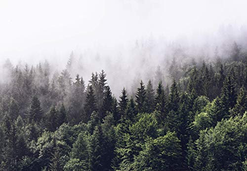 A.S. Création Papier peint forêt brumeuse - Papier peint forêt arbre nature paysage vert blanc - 366 x 254 cm XXL papier peint mural