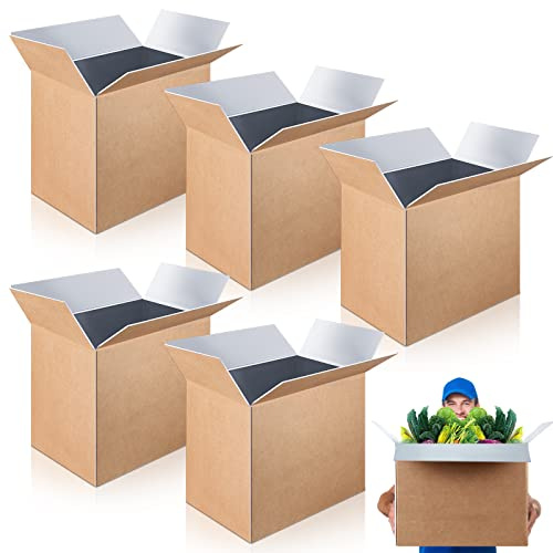 Henoyso 5 Pcs Large Insulated Shipping Boxs Bulk 19 x 12 x 16 for Frozen Food with Foil Insulated Cold Bag Liner Shipping Box Cooler Box Cold Pack Boxes for Fresh Food Mailing Packing Business