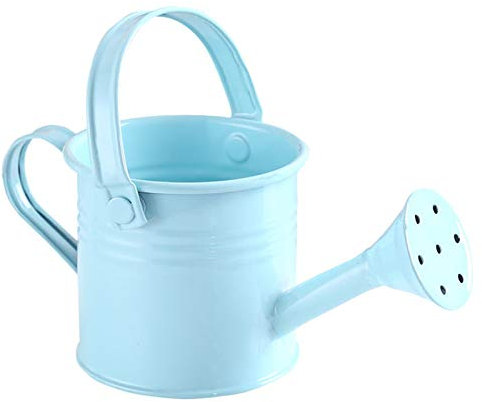 ZHDOKA Mini Regadera de Estaño, Ducha de Jardín con Asa, Regadera Moderna Pequeña Portátil para Suculentas Bonsai Flor de Jardín(#4)