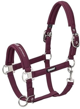 Halfter DOUBLE PIN BUCKLE SOFTSHELL CORE