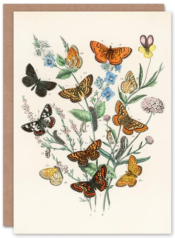 Artery8 William Forsell Kirby Art Card Butterflies and Caterpillars