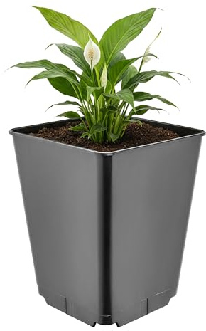 Garronda Pflanztopf Kunststoff hoch 16 x 16 x 20 cm (3,5L) eckig mit Drainagelöchern Blumentopf PP Pflanzgefäß für Garten Gewächshaus Balkon Anzucht Innen Außenbereich Schwarz GD-0201
