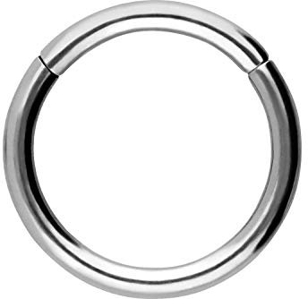 PIERCINGLINE Segmentring Clicker Chirurgenstahl Piercing Ring Nase Septum Ohr Helix Tragus Silberfarben 0,8 x 5 mm