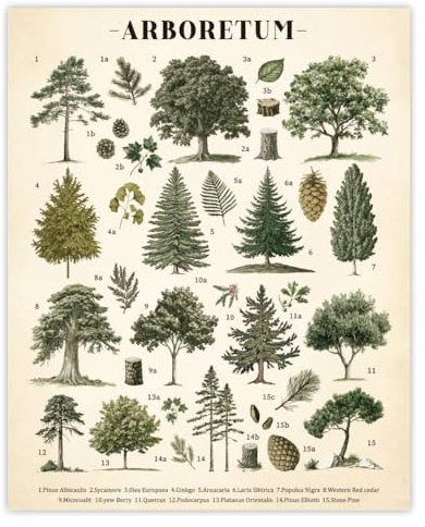GOMAKERER 1pz Decorazione Da Parete con Poster di Albero Vintage, Stampa Artistica Da Parete Botanica, Dipinto su Tela Rustico Retrò per Soggiorno, Camera Da Letto per La Casa, Senza Cornice