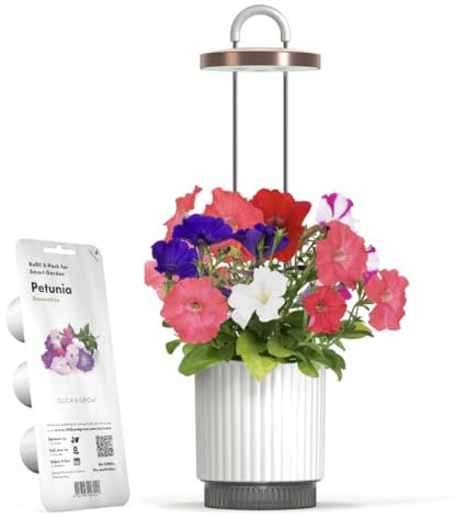 Kit Mini Jardin d'Intérieur avec Capsule de Pétunia par Click&Grow, Hydrovase Smart Garden, Vase Auto-Arrosant avec Lampe de Croissance