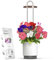 Kit Mini Jardin d'Intérieur avec Capsule de Pétunia par Click&Grow, Hydrovase Smart Garden, Vase Auto-Arrosant avec Lampe de Croissance