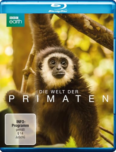 Die Welt der Primaten