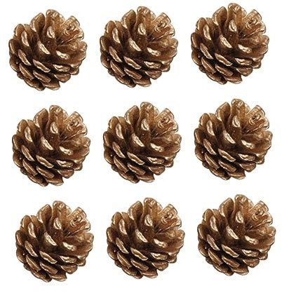TOPBATHY 9St hängendes Tannenzapfendekor Pinon-Nüsse DIY Christbaumschmuck Ornament Tannenzapfen zu Weihnachten Christmas Tree Pine Cones Mini Kiefernzapfen Weihnachtsbaum