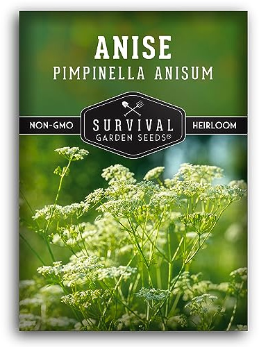 Anise Seeds for Planting - Sweet Anise Herb (Pimpinella anisum) - Culinary and Tea Garden Variety, Heirloom Non GMO - Survival Garden Seeds (1 Pack)