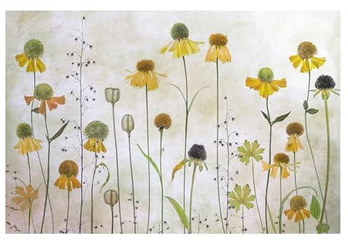 Bilderwelten Fototapete Blumen 255cm x 384cm Modern Natur Blüten Blumentapete Vliestapete Tapete Wanddeko Ideen Wohnzimmer Schlafzimmer Küche