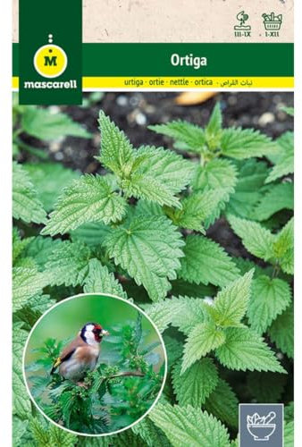 Mascarell Semillas, ORTIGA, Semillas de Hierbas Aromáticas para Plantar, Crea tu Propio Huerto en Casa, 0,4 Gramos