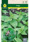 Mascarell Semillas, ORTIGA, Semillas de Hierbas Aromáticas para Plantar, Crea tu Propio Huerto en Casa, 0,4 Gramos