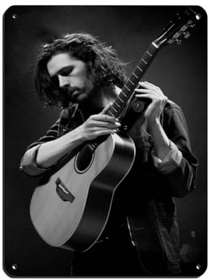 KJUFE Hozier Poster 27 Blechschild, Vintage, Metall, Pub, Club, Café, Bar, Zuhause, Wandkunst, Dekoration, Poster, Retro, 30 x 40 cm