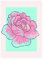 Disney Wandbild von Komar | Cinderella Rose | Kinderzimmer, Babyzimmer, Dekoration, Kunstdruck | Größe 50x70cm (Breite x Höhe) | ohne Rahmen | WB019-50x70